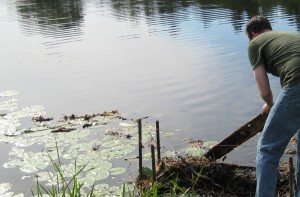 Unclogging the Grate