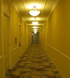 I like exploring hotels . . . especially the long empty hallways, late at night. I keep expecting to see ghosts or encounter out of work gods or have strange adventures. None of these things ever happen, unfortunately.